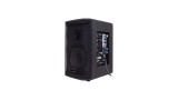 CAIXA SOM AMPLIFICADA ATIVA LL AUDIO 100W BLUETOOTH/USB/SD/FM SAGA 6