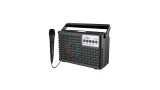 RADIO PORTATIL COM MICROFONE ENTRADA PEN DRIVE CARTAO MICRO SD BATERIA RECARREGAVEL GRASEP D-Y12