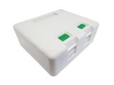 CAIXA DE SOBREPOR SURFACE BOX 2P PARA RJ-45 FEMEA PORTA RETRATIL