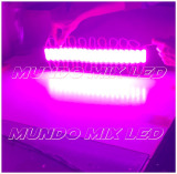 MODULO 6 LEDS ROSA